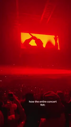 brisbane night 1 #fyp #viral #tylerthecreator #chromokopia #xybca 