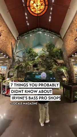 7 /// things you probably didn’t know were hiding inside Bass Pro Shops in Irvine, where the outdoors comes alive indoors 🐟🔥🎯 Not just a store, this place is an indoor adventure packed with surprises. 🌊 A Black Star Canyon replica with a bass-filled aquarium  🔥 A cozy log cabin with a fireplace and a marlin on display  🏹 An archery range where you can test, tune, and shoot  🛻 Gas + electric ATVs (including a 6-seater!) and tons of boats,fishing, offshore, luxury pontoons  🦚 A scavenger hunt for kids (peacock included!)  🐾 Dog-friendly with free treats for your pup  📍 Just minutes from Irvine Spectrum Whether you're shopping, exploring, or just vibing. This place is the real catch. 🎯🐟 📍Irvine CA  🎥: @_withdiane @Local_e 