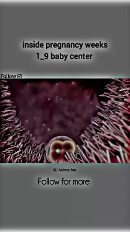 part // 113 // inside pregnancy weeks 1_8 baby center.... . . #following #viral_video #foryou #💉💉💉💉💉☑️🌡️ 🩺💉🩺💉💉💉🩺💉💉💉💉🩺🩺🩺💉🌡️