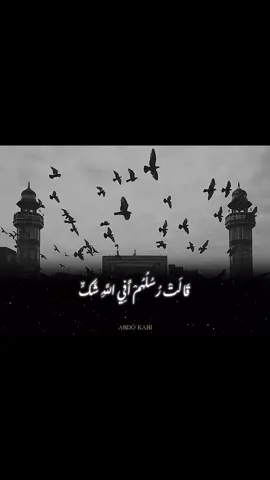 {قَالَتْ رُسُلُهُمْ أَفِي اللَّهِ شَكٌّ}🤍🌼  (القارئ عمر احمد العنزي) #اكتب_شي_توجر_عليه #تلاوة_خاشعة #لاإله_ألا_الله #اللهم_صلي_على_نبينا_محمد #qurant 