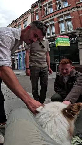 Interactions with my dog!!  #famous #violasnow #viral #fyp #foryou 