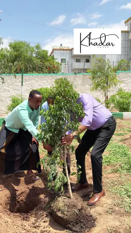 Geedka walaalaynta saddexda magaalo ee Hargeisa, Jabuuti iyo Jigjiga oo si wada jir ah loo beeray. #somalilandtiktok💚🤍❤ #djiboutitiktok🇩🇯🇩🇯 #foryoupage #hargeisa #jigjiga_somali_galbeed 