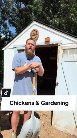 Chickens & Gardens = Peanut Butter & Jelly. Make sure you head to the link in our bio and use code BANDRHOMESTEAD for 20% off your first @Eaton Pet & Pasture order! #Homestead #homesteading #foilhatgang #gardening #compost 
