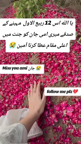 یا اللّه اس 12 ربیع الاول  مہینے کے صدقے میری امی جان کو جنت میں اعلی مقام عطا کرنا آمین #motherdeath0 #fyp #foryou #foryoupagе #unfreezemyacount 