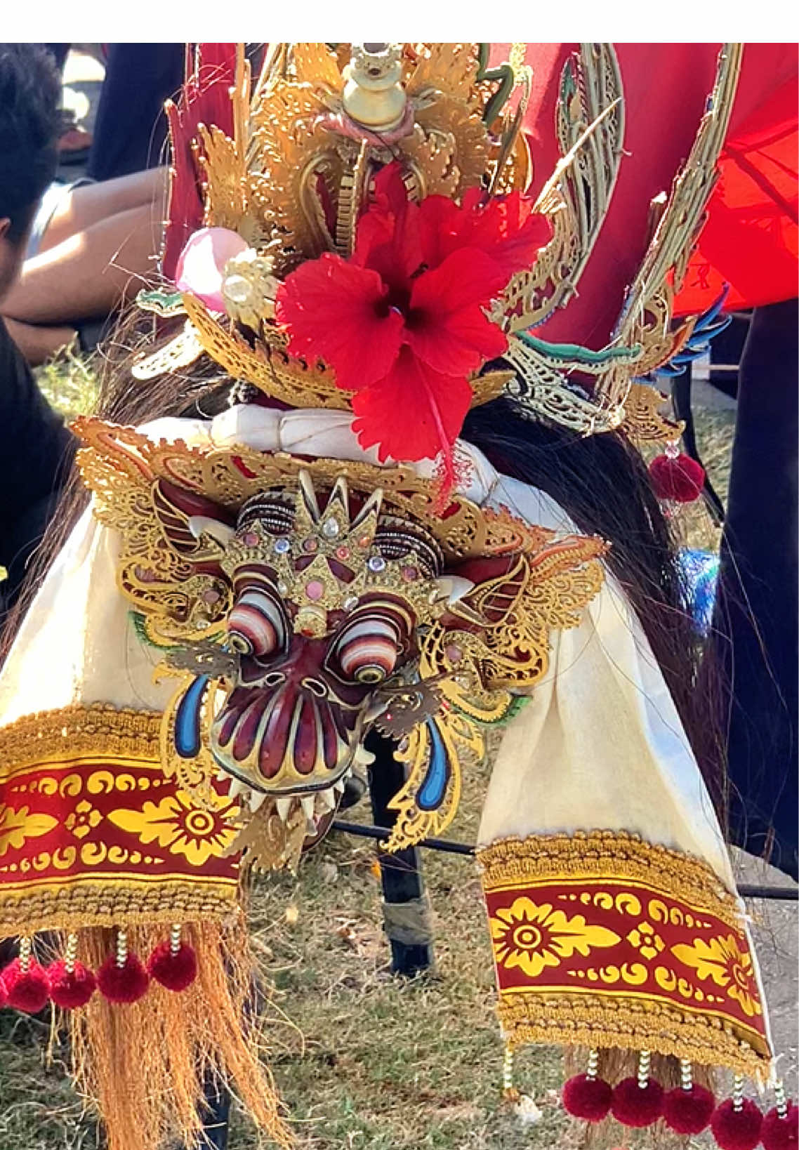 Sicantik Kalya🥀🥀🥺 #pelayangbali #layanganbali #jangganbali #janggan #fyp #fyppppppppppppppppppppppp #fypシ゚ 