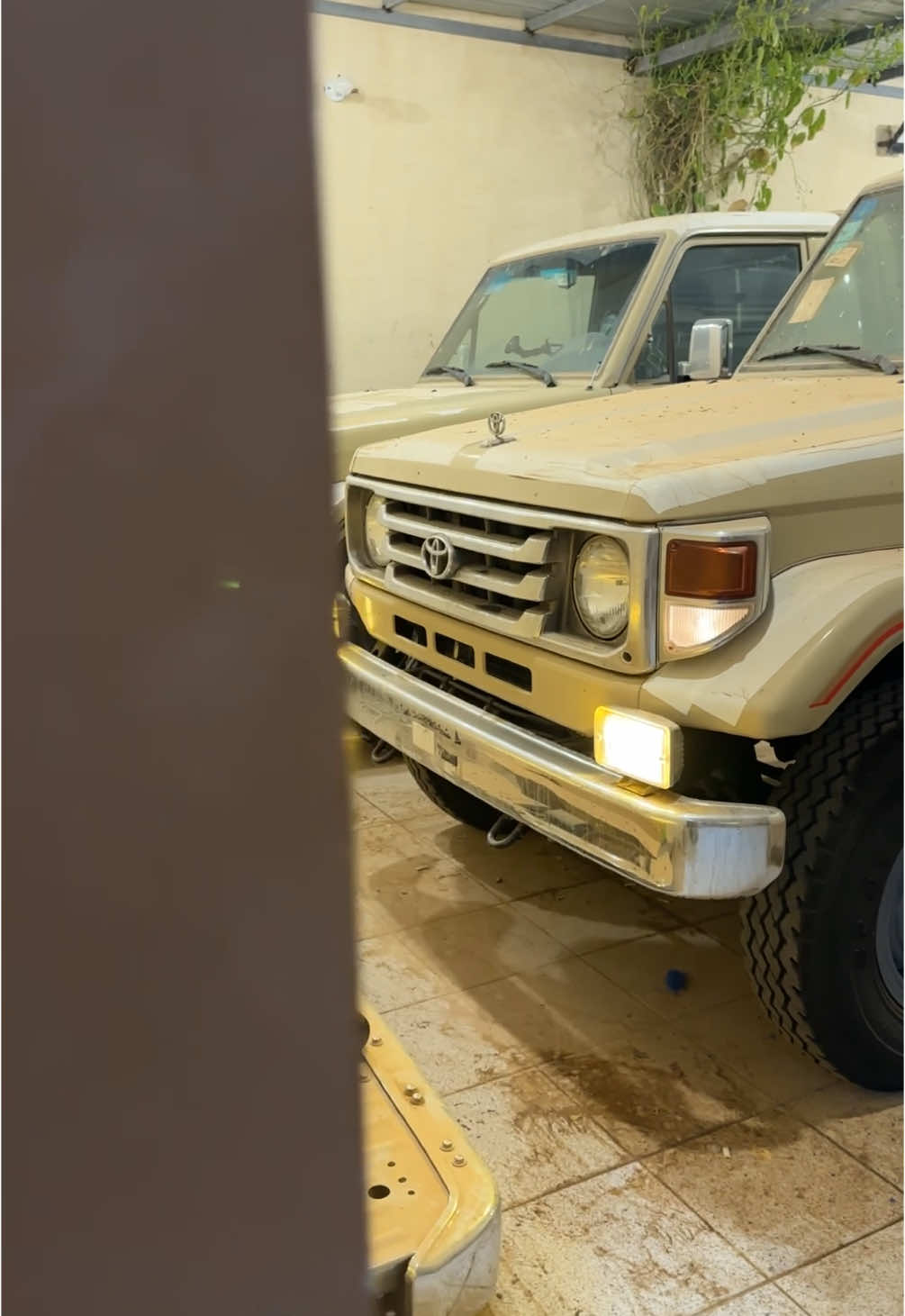 #سن_الذهب #2003 #نكهه #شعال #جناح_الطير #❤️ #🔒 #898 #explore #fyp #هوا 