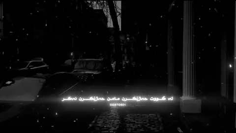 ibrahim Tatlises - Nankör Kedi😍💔 #dosto601 #ibrahimtatlıses 