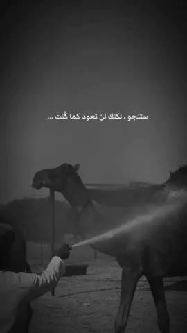 #الحمدالله_علی_کل_حال❤ #عرعره_النقب_رهط_كسيفه_شقيب_تل_السبع #بلي 