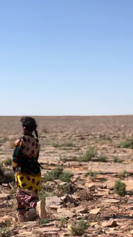 #اكسبلور 