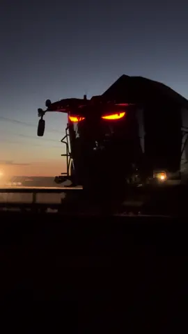 #уборка 2025 #комбайн #сельскоехозяйство #harvest #combine 