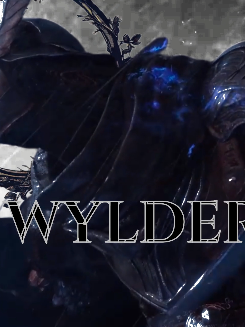 I ♥️ wylder and I ♥️ elden ring  inspired by the edits by @smartasianguy, mostly his vike edit #fyp #eldenring #nightreign #edit #blowthisup  also it's my 18th birthday  yayyyy