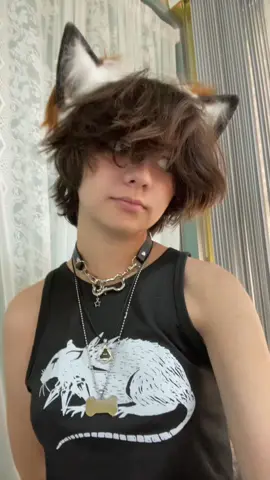 (Not saying gear = therianthropy btw) I’m Batman #therian #kemonomimi #foxboy #fyp fake body