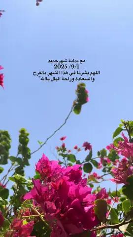#عجبكم_الفيديو_لايك_متابعه_اكسبلور #تصويري_رأيكم_يهمني #هاشتاقات_تيك_توك_العرب #🖤abigailjm