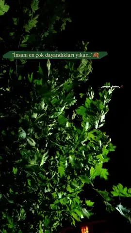 #hozandino #were  #_yorgun_beden__ 