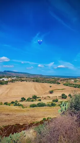 💙 #tunisia🇹🇳 #viralreels 