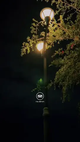 #اصيل_ابوبكر  #اسيبك
