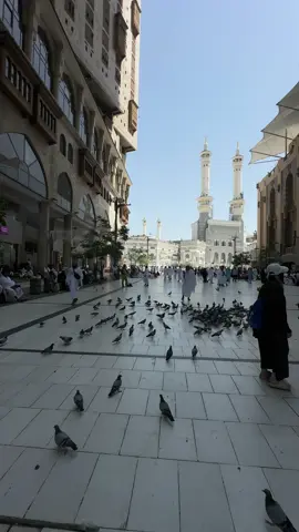 #الحرم #اذكروا_الله #صلوا_على_رسول_الله #قران_كريم #اللهم_صلي_على_نبينا_محمد 