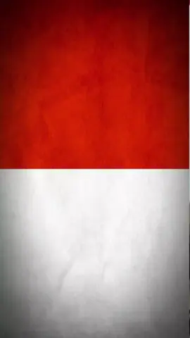 #CapCut presiden soeharto.presiden Saddam Hussein,Moch Hatta,Prabowo Subianto presiden RI ke 8 #pyfツviral #indonesia 