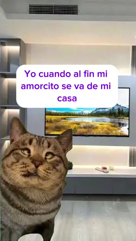#Meme #MemeCut #Meme 