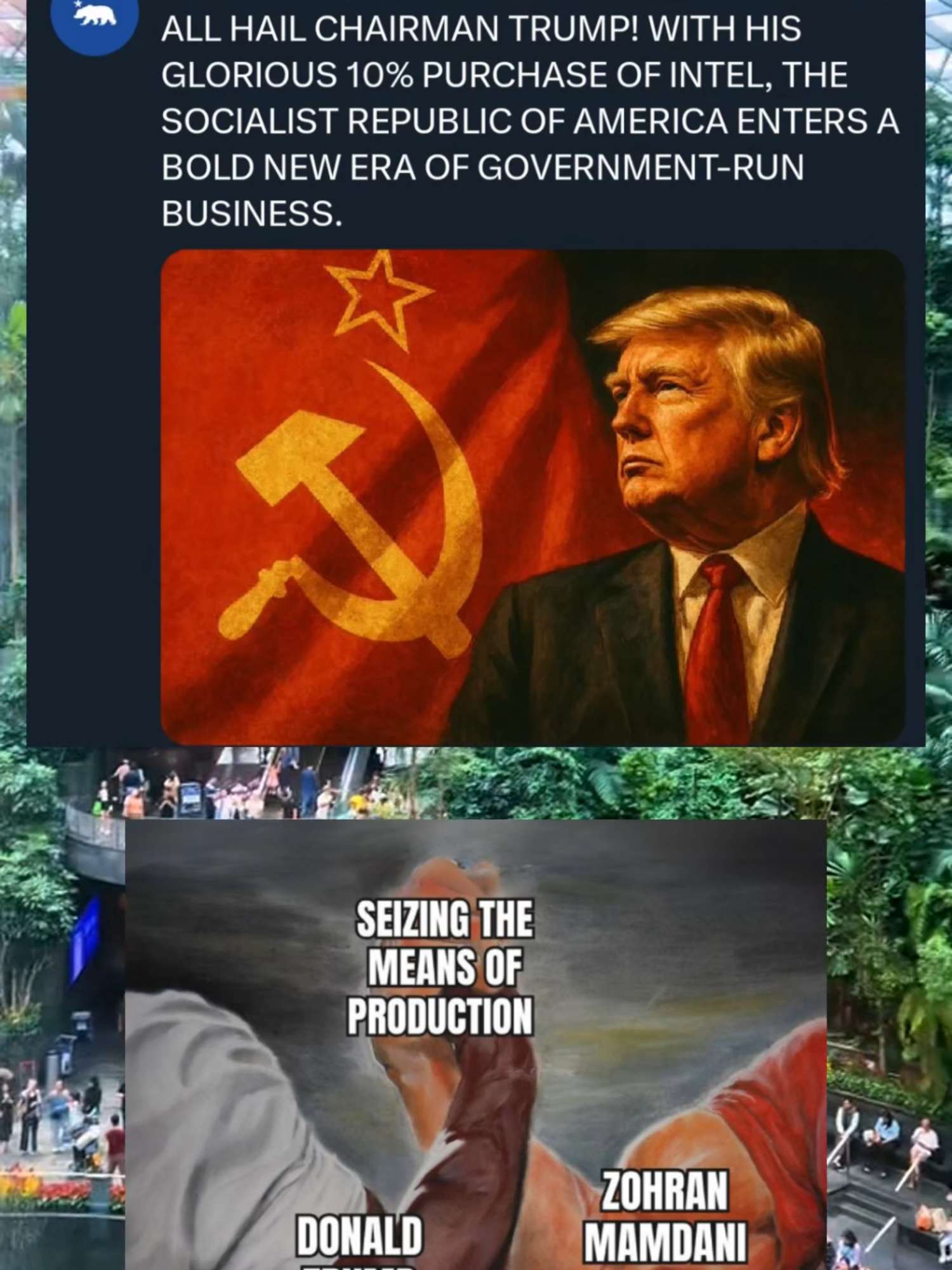Trump is a socialist #capitalism #socialism #communism #libertarian #libertarianism #liberty #freedom #antitrump #donttreadonme #ancap #anarchocapitalism #taxationistheft #republicans #democrats #politics