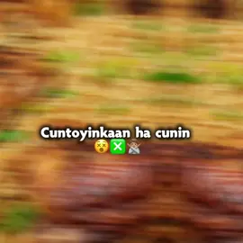 loooove saaarr 😭❤️ copy link 🙂😭 .. . . . . . . . . . . . . . . . . ...... . . . . .#fyp #creatorsearchinsights  #fouryou #somalitiktok12 #viewsproblem💔😔 