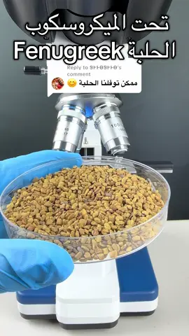 Replying to @ᏕᎨᎰᎾᏕᎨᎰᎾ أين محبي الحلبة وعمرك شفت الحلبة تحت الميكروسكوب.خلونا نعرف فوائد الموجودة في الحلبة وأبرز فوائده  بالأخص لمرضى السكري وهو يساعد في خفض سكر الدم ومفيدة للجلد والشعر لكن لا تكثر من تناولها   وفوائد أخرى كثيرة لا تعد.#حلبه #تحت_الميكروسكوب #فوائد_الحلبة #اكسبلور #fyp 
