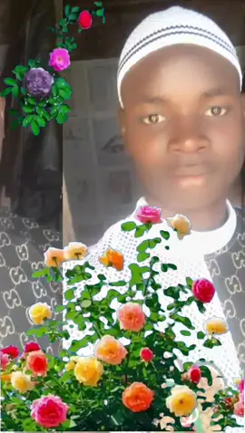 #greenscreen