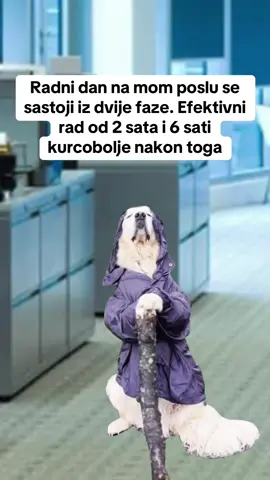 #Meme #MemeCut #fyp #fypシ゚viral #balkan 