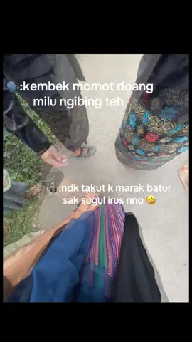 Sensitive manjur🤣#lombok #lombokvirall🌴🌴 #lombok 