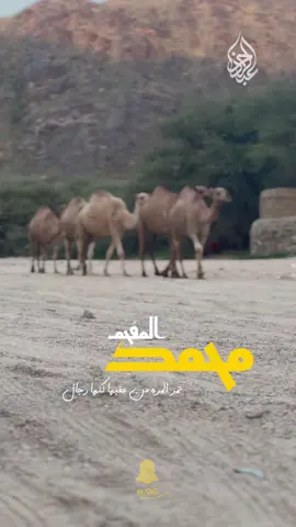 ياويلك من المكان اللي جمعك ابهم#اكسبلور #z_7i3 #محمد_المقحم 