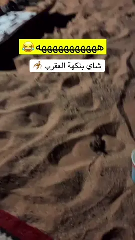 #شعب_الصيني_ماله_حل😂😂 #تبوك_الورد_تبوك_تيماء_ضباء_حقل 