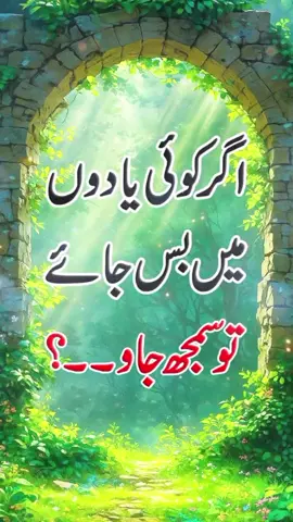 Koi Yaado Me Bas Jae To? #SardarIrfanStudio #foryoupage #foryou #foru #tranding 