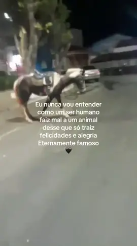 Eterno famoso 🖤