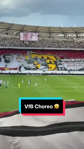#vfb #vfbstuttgart #neckarstadion #commandocannstatt #ultras 