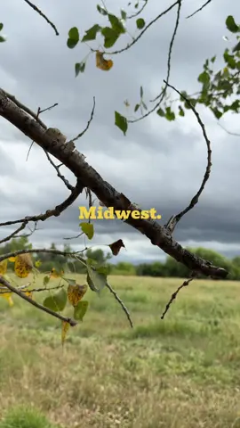 #fyp #foryoupage #aesthetic #midwest #kansas 