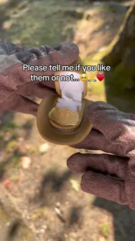 Please share and comment something to help boost this post🥺♥️🥺 #savehorse #animalsoftiktok #jewelry #fyp #horses 