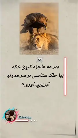 ډیر مه عاجزه کیږی ځکه بیا خلک ستاسی تر سرحدونو تيريږ