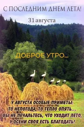 #споследнимднемлета#31#август#праздник #fyp