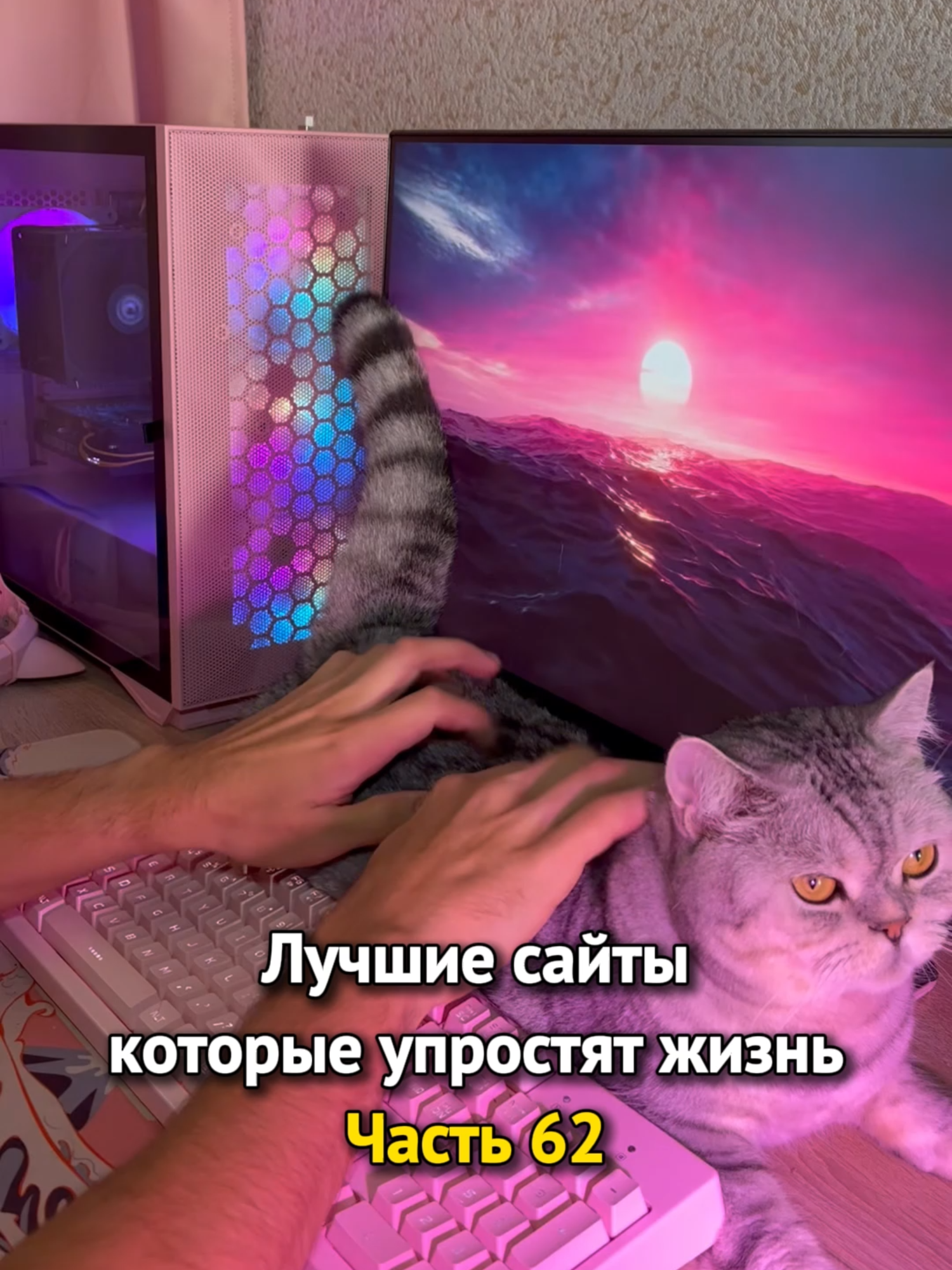 Больше полезного в тгк: @simplify_ai #website #гаджеты #смартфон #машины #мастер