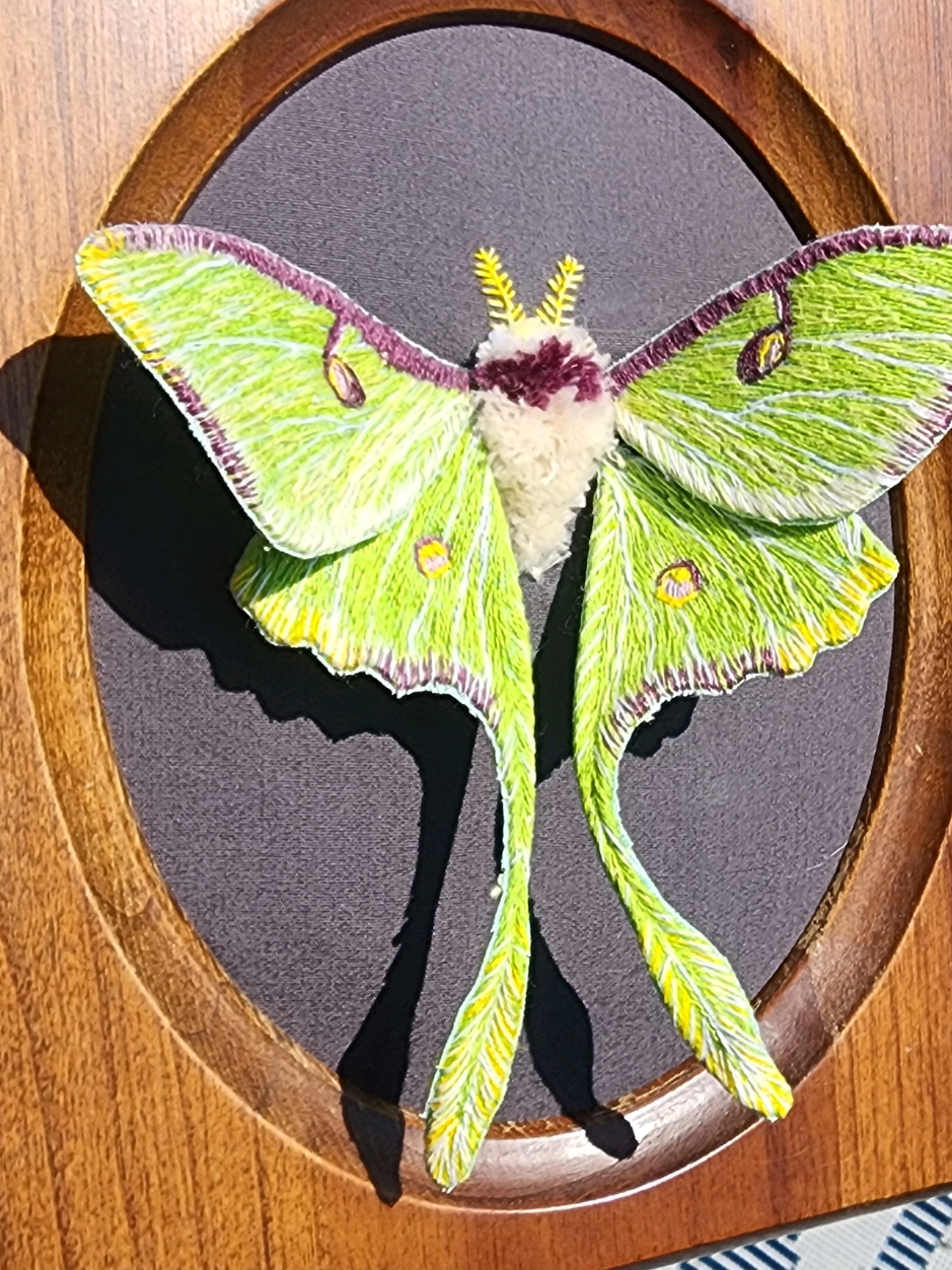 Utah state fair entries from 2023 and 2024! I would LOVE to win of those big rosette ribbons one day  #stainedglass #embroidery #utahstatefair #statefair 