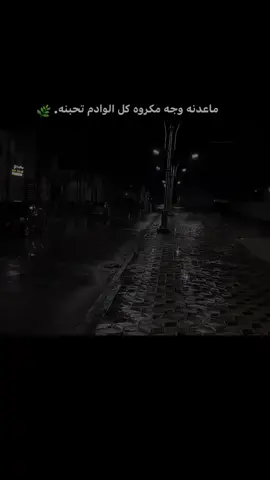 #الحياة_الواقعية #اكسبلور #ترند 