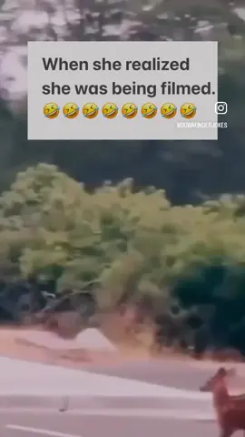 Ladies b like 😝😜🤪