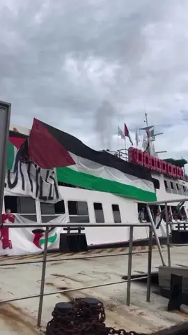 More than 700 people sailed from Porto Marghera to Venice's Lido Beach to express solidarity with the Global Sumoud Flotilla.