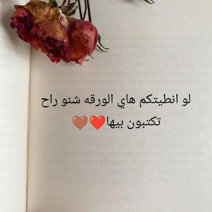 #الشعب _الصيني_ماله_حل😂