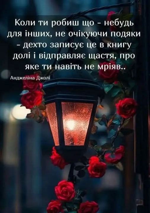 #книгадолі