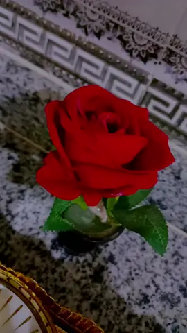 #مالك_ياحلوة_مالك #تصويري📸 #：مهما تغير لون الفنجان... تبقي بداخله قهوتي المفضلة برائحتها ولونها الاسمر☕