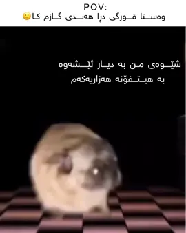 شۆخەکەی ئیرانی خانمەکەی بۆکانیی🙀😇😘#fyp #looksmaxing #foryoupage #kurdistan #هەولێر 