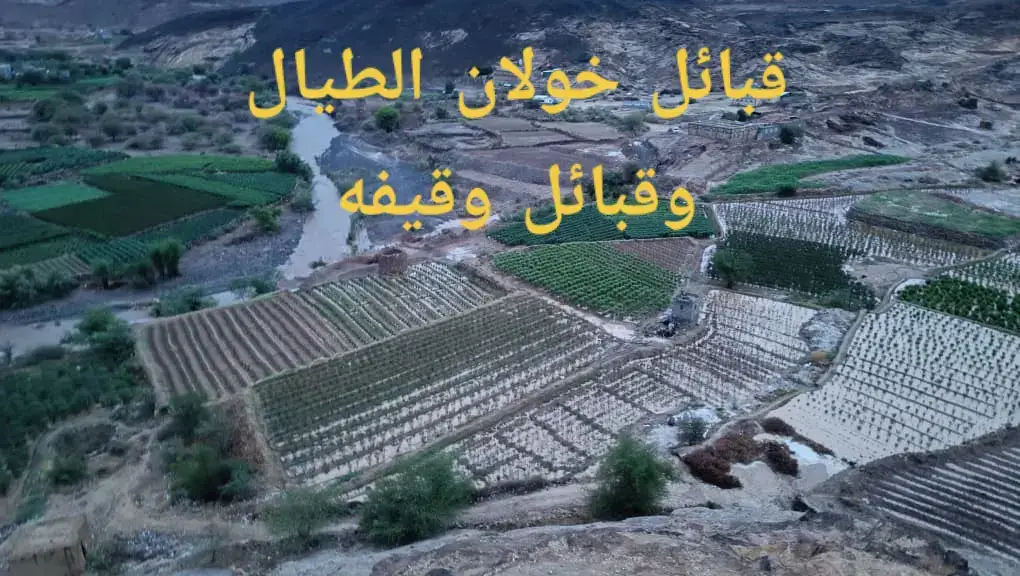 #اليمن# صنعاء #خولان الطيال المهيبه#
