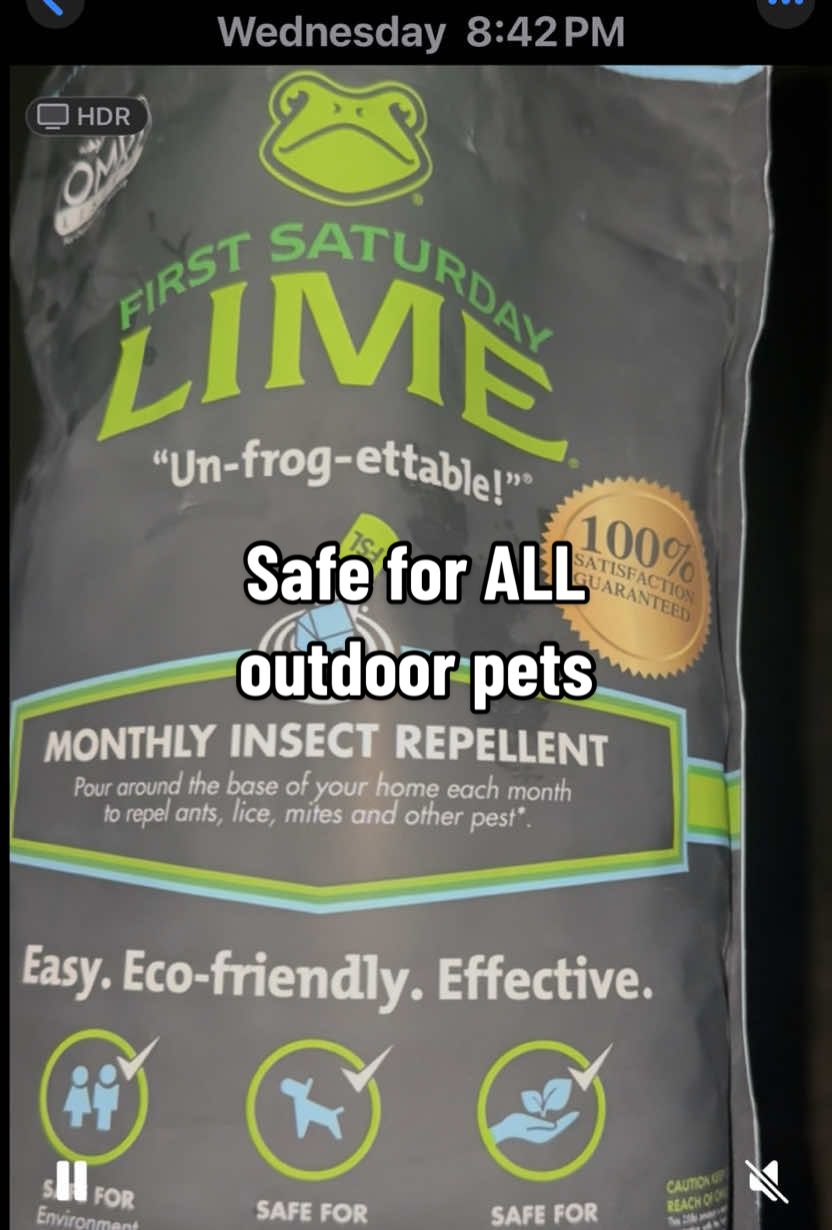 This is lime, and when you dust it around the foundation of your home, it repels insects. The best part is this stuff is all-natural. The lime provides an organic barrier that insects won't cross. You only need a thin layer to be effective. Use a shop vac on the lowest setting to apply it to your foundation. You can also use a handheld spreader or simply pour it around the base of your home. It's best to apply it every four to six weeks, and it doesn't wash away in the rain. Plus, it even helps with odor control in chicken coops. #firstsaturday #lime #pestcontrol #gardeningtips #EcoFriendly 