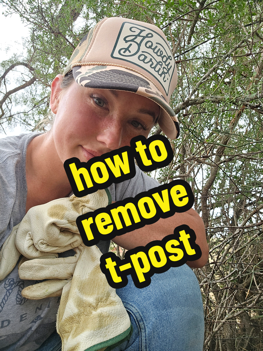 How to remove T-post 🤠 Teachin yall some cowboy shit! So, while T-posts aren’t 